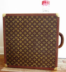 Louis Vuitton Wapity Case Spring in The City Monogram Giant Canvas Multicolor