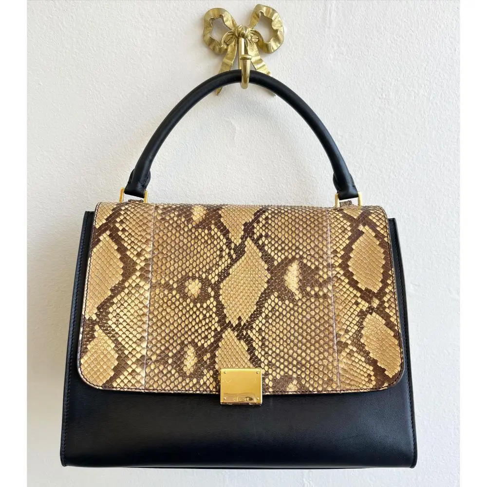 Celine snakeskin bag sale