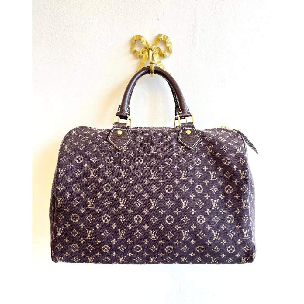 Louis Vuitton Mini Lin Speedy 30 bag